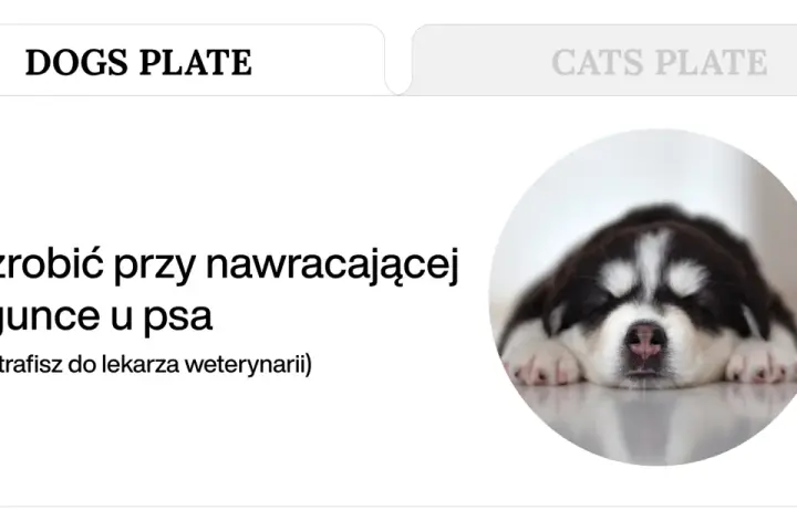 Słodki szczeniak śpi, podczas gdy tekst informuje o nawracającej biegunce u psa i wspomina o smecta dla psa.